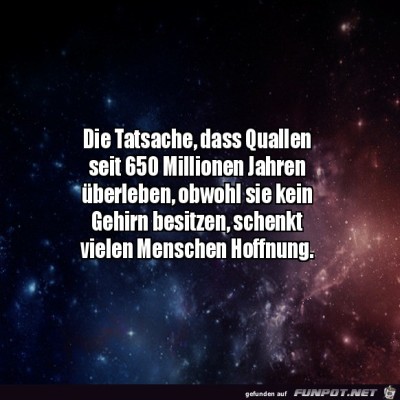 Überleben-ohne-Gehirn.jpg von Ida