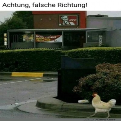 Falsche-Richtung.jpg von Ava