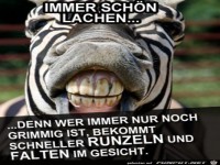 Immer lachen