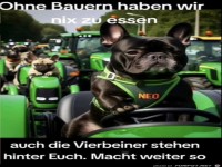 Vierbeiner unterstützen