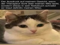 Katze und Therapeut-Witz