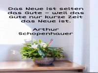 das neue ist selten das gute
