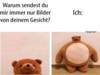 Lustiges B�ren-Meme �ber Selfies