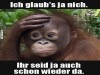 weiter