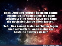 Homeoffice mit Katze und Switch