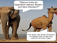 Lustiger Dialog zwischen Elefant und Kamel