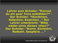 Lehrer zum Sch�ler