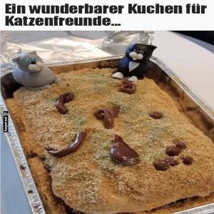 Katzenstreu-Kuchen:-Naschen-auf-eigene-Gefahr!.jpg von Benno-2011