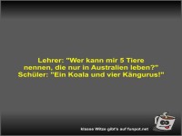 Lehrer: Wer kann mir 5 Tiere nennen