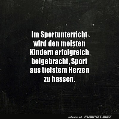 Sportstunde:-Der-Beginn-des-Sporthasses!.jpg von Justus2002