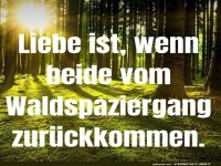 Liebe im Wald: Wie man gemeinsam zur�ckfindet