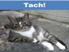 weiter