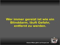 Wer immer gereizt ist wie ein Blinddarm