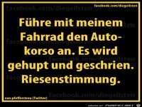 diegeilsten Autokorso