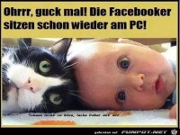 Facebooker sitzen