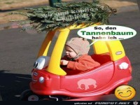 So den Tannenbaum hab ich