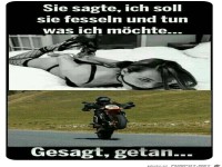 Tu was du m�chtest
