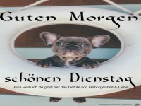 Sch�nen Dienstag