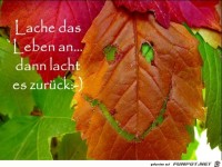 Herbstallerliebst