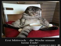 erst Mittwoch.......