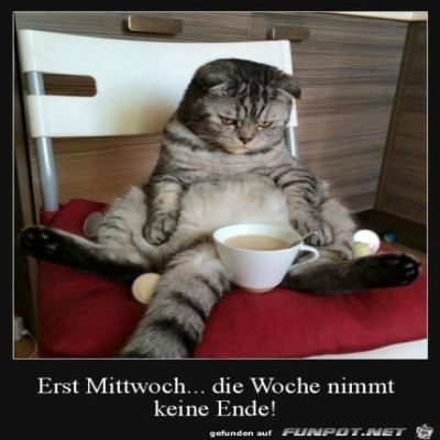 erst-Mittwoch........jpg von Edith