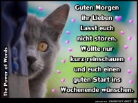 Guten Morgen ihr Lieben