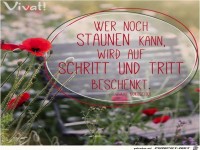 Wer noch staunen kann