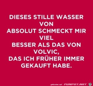 Dieses-stille-Wasser-von-Absolut.jpg auf www.funpot.net