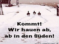 Wir hauen in den S�den ab