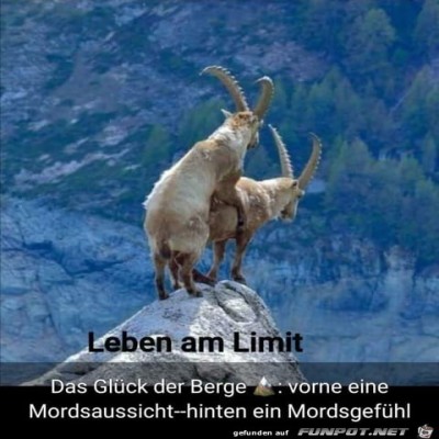 Leben-am-Limit.jpg von bergfextom