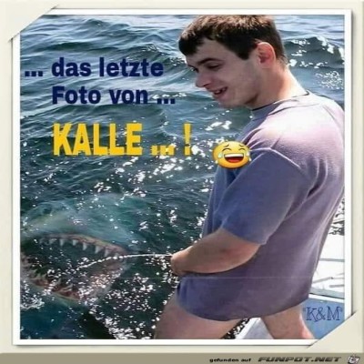 letztes-Foto.jpg von Noah75