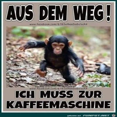 Aus-dem-Weg.jpg von Keule56