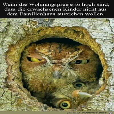 Kinder-ziehen-nicht-aus.jpg von Supersusi