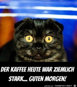 Kaffee-war-stark.jpg auf www.funpot.net