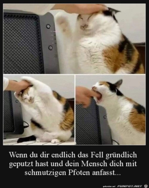 Pfoten-weg.jpg auf www.funpot.net