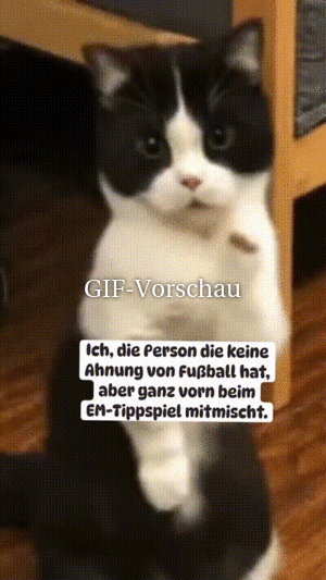 Keine-Ahnung-von-Fußball.gif auf www.funpot.net