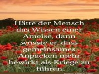 Das Wissen einer Ameise