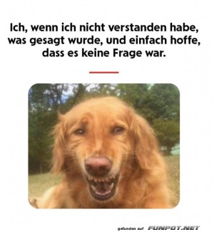 Mein-Blick.jpg auf www.funpot.net