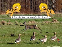 Da kommt das Wochenende