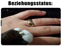 Humorvolles Beziehungsmeme mit Katze