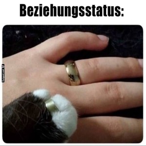 Humorvolles-Beziehungsmeme-mit-Katze.jpg von Deniz
