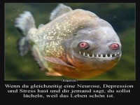 Wenn Fische auch Montagssorgen haben