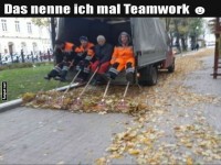 Das ultimative Teamwork-Wunder!