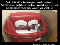 Der erschrockene Mülleimer