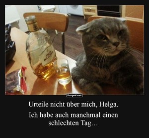 Kater-im-Katzenmodus.jpg auf www.funpot.net