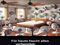 K�hles Paradies: Der ultimative Ventilator-Schutz