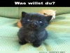 weiter