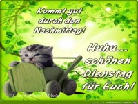 Huhu schoenen Dienstag