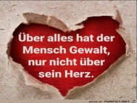 Herz