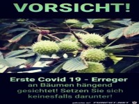 Covid-Erreger am Baum